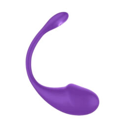 Máy rung quần lót đầu dương vật APP Vibrator