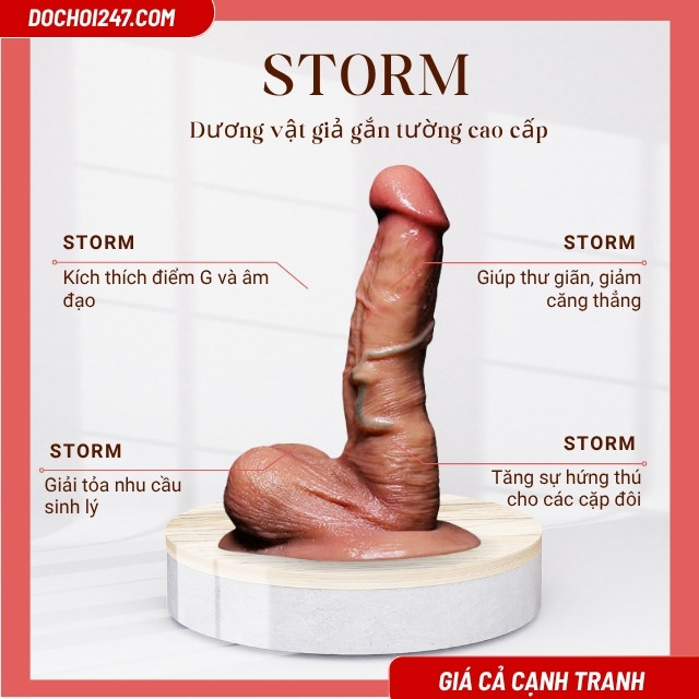 Công dụng dương vật giả gắn tường Storm