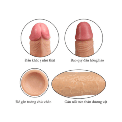 Dương vật giả gắn tường Lovetoy USA