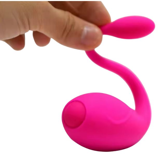 may-rung-vibrator (3) Máy rung Vibrator